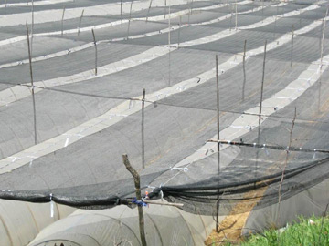 Farm Net